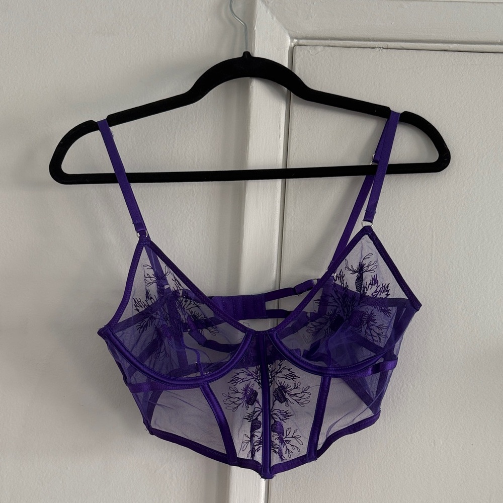 Thistle and Spire Sheer Purple Bra